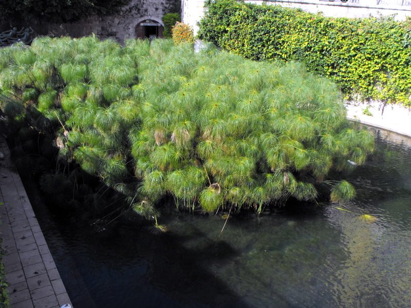 dscf3065.jpg