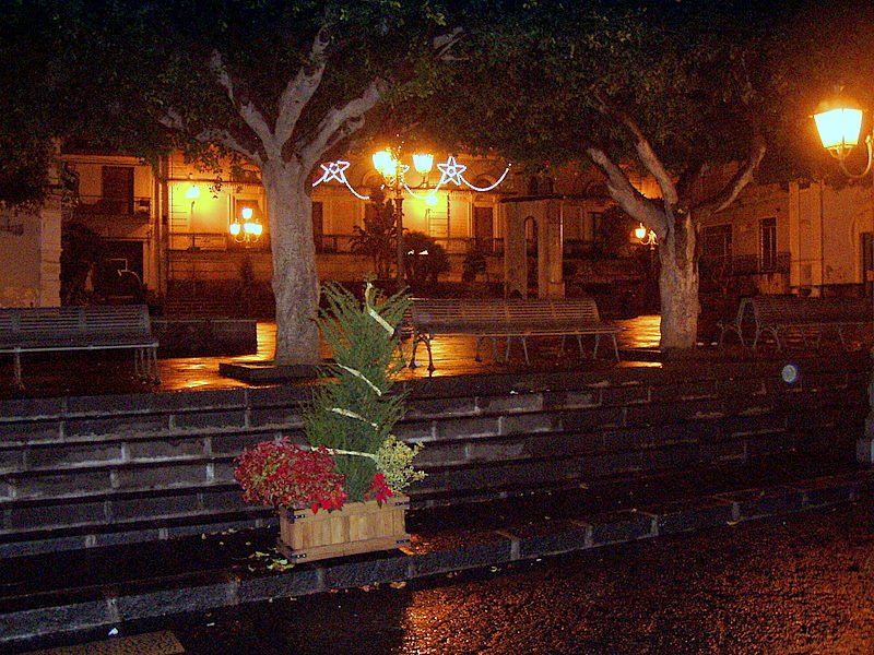 p1011572.jpg