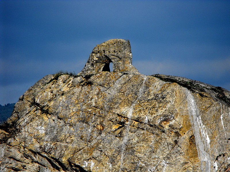 dscf0249.jpg