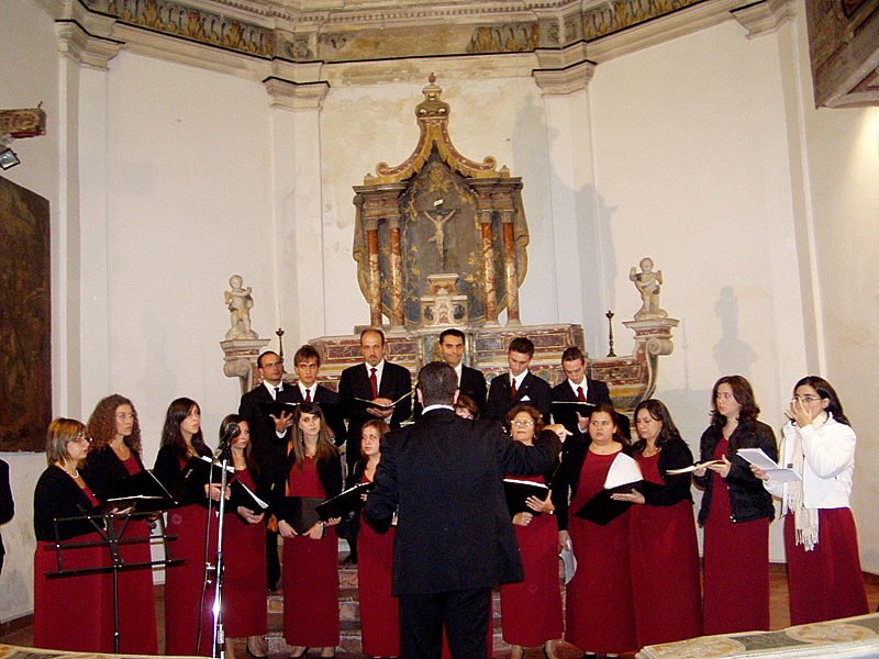 pa250467.jpg