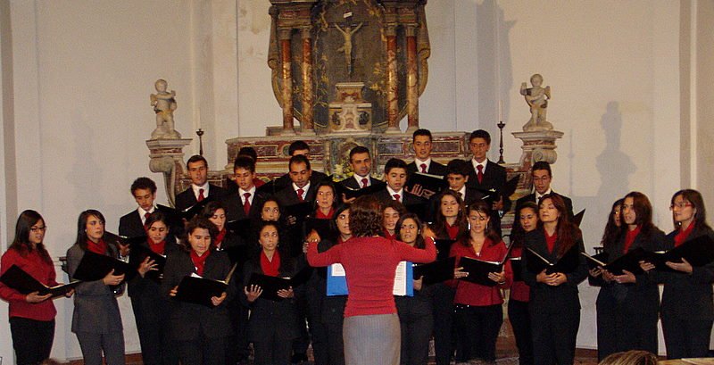 pa250482.jpg